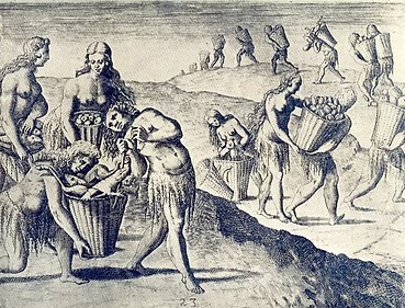 哥斯达黎加 MALEKU 马列库巧克力 哥斯达黎加 MALEKU 马列库巧克力3